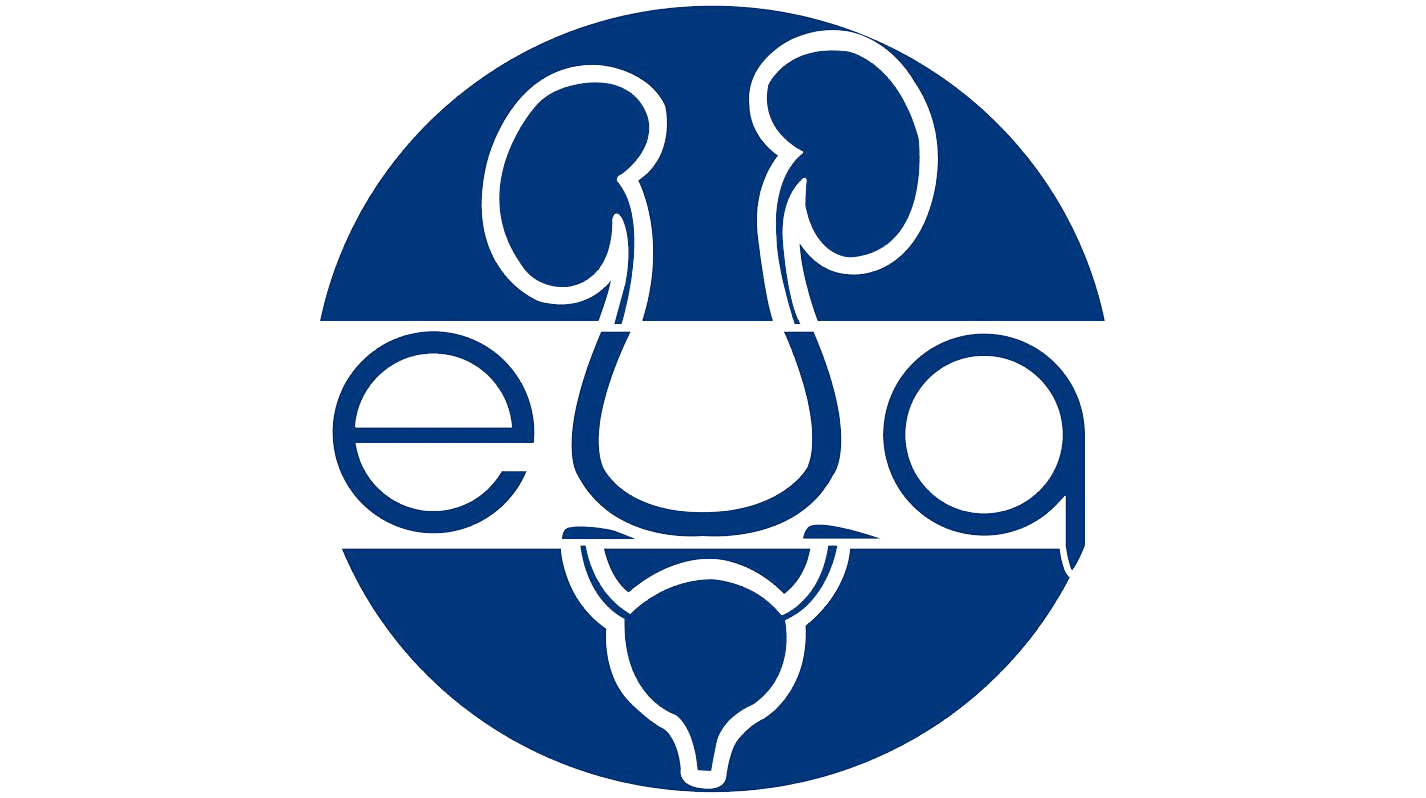 Egyptian Urology of Association